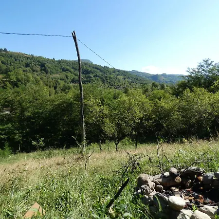 Romantic Yurt In Apuseni Mountains *