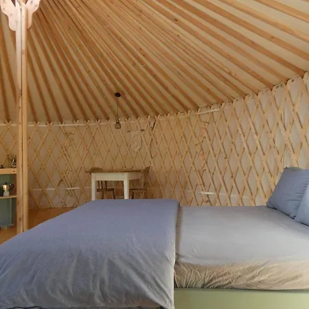 Romantic Yurt In Apuseni Mountains